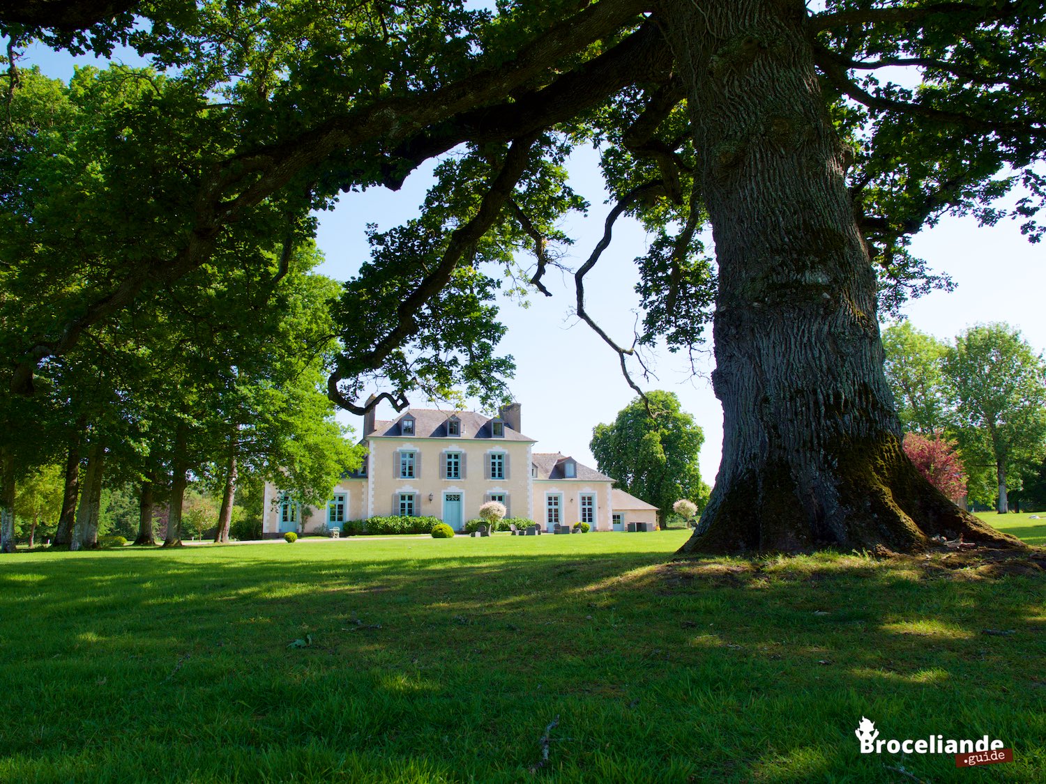 Château du Pin